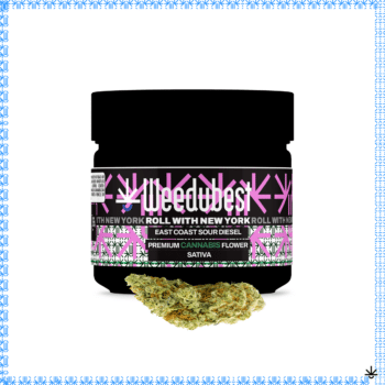 EAST COAST SOUR DEISEL WEEDUBEST BEST COAST