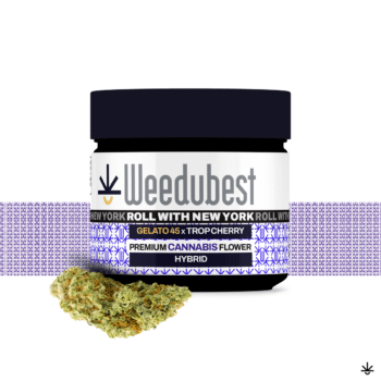 Gelato45-Trop-Cherry-Strain-flower-eighth